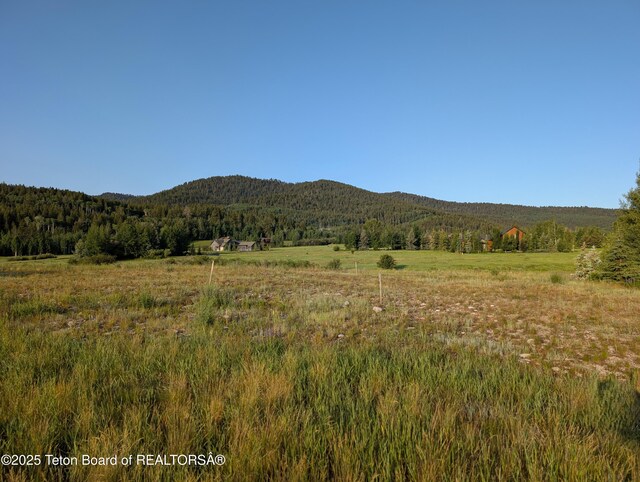 57 Warm Creek Ln, Victor, ID 83455 - photo 7