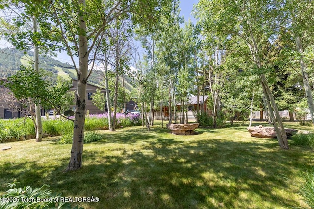580 E Hansen Ave, Jackson, WY 83001 - photo 2