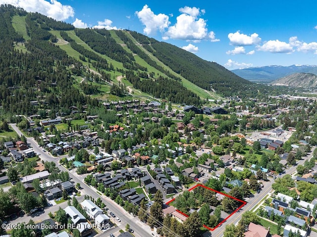 580 E Hansen Ave, Jackson, WY 83001 - photo 4