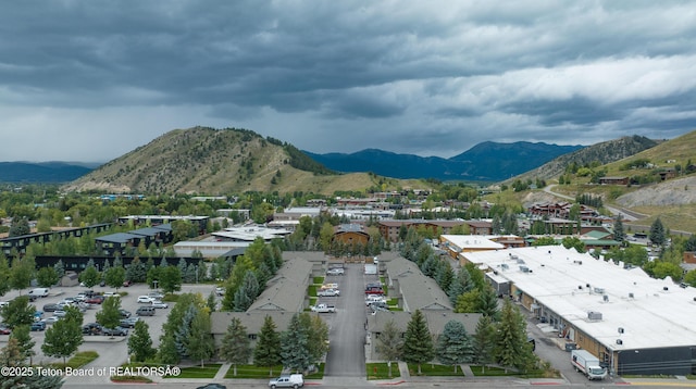 55 Virginian Ln Unit 55-2, Jackson, WY 83002 - mountain view