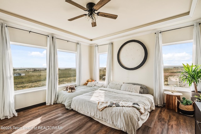 26 Merrimac Trl, Boulder, WY 82923 - bedroom featuring wood finished floors, a raised ceiling, and ceiling fan