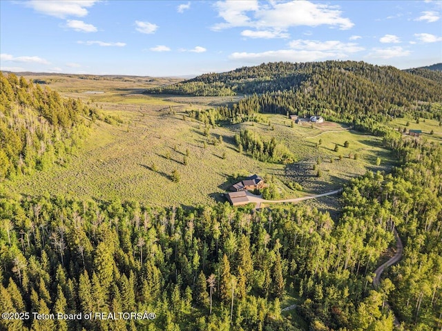 20 Trail Ride Ln, Cora, WY 82925 - aerial view of property and surrounding area featuring a forest and a mountain backdrop