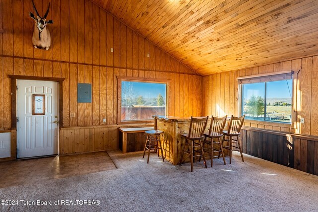 269 Cole Ave, Pinedale, WY 82941 - photo 38