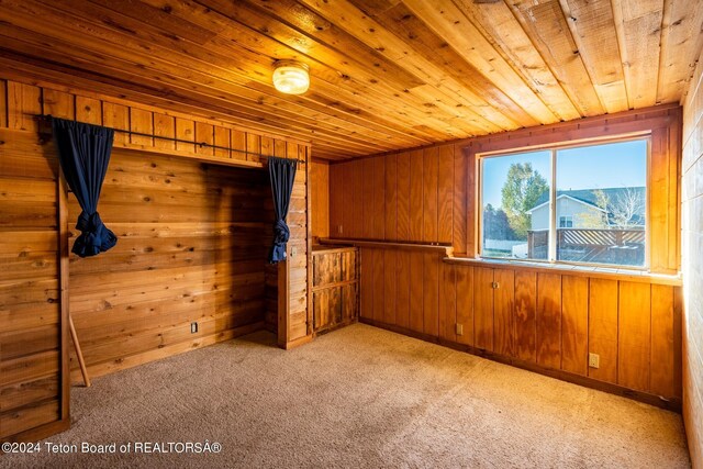 269 Cole Ave, Pinedale, WY 82941 - photo 39