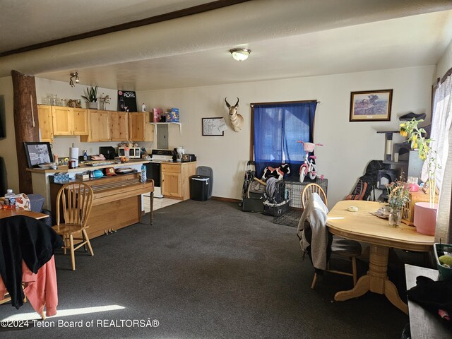 269 Cole Ave, Pinedale, WY 82941 - photo 54
