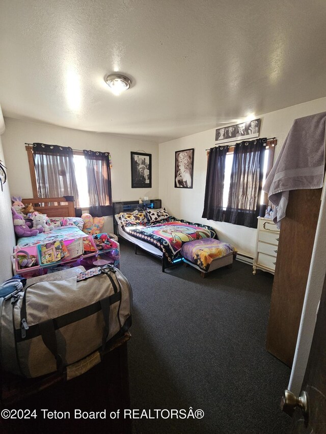 269 Cole Ave, Pinedale, WY 82941 - photo 57