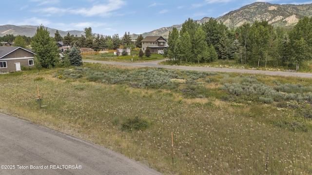 178 Columbine St, Alpine, WY 83128