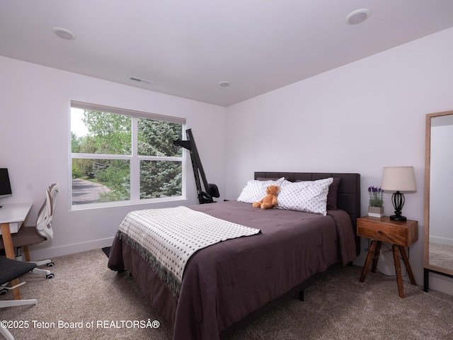 112 Aspen Meadows Rd Unit 36, Driggs, ID 83422 - carpeted bedroom with baseboards and a desk