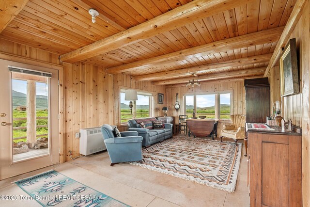 15 S Rainbow Dr, Cora, WY 82925 - living room with wood walls and a wooden ceiling with exposed beams