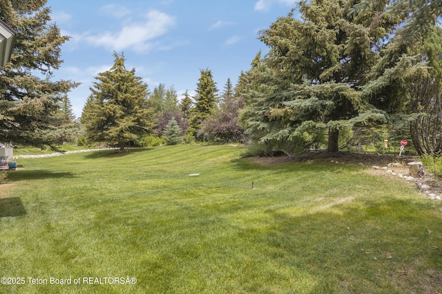 536 Shadow Brook Ln, Driggs, ID 83422 - view of green lawn