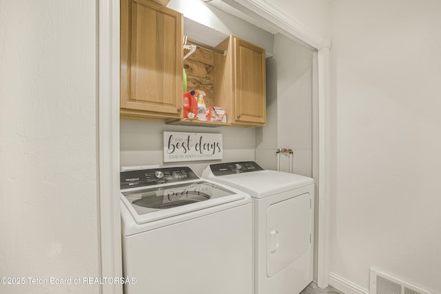 536 Shadow Brook Ln, Driggs, ID 83422 - laundry area featuring cabinet space and washer and dryer