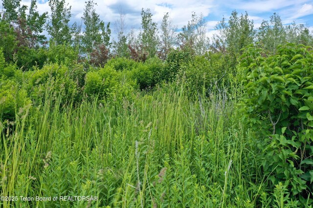 500 N 2000 E, Driggs, ID 83422