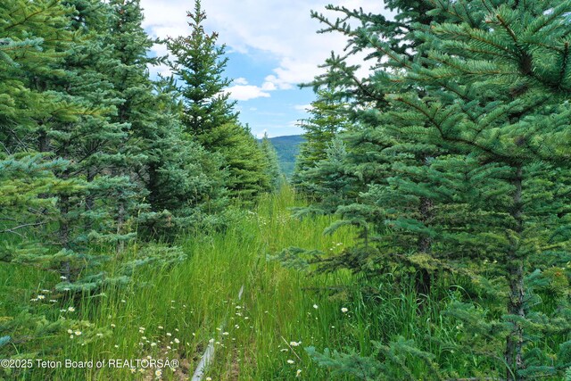 500 N 2000 E, Driggs, ID 83422