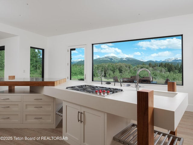 750 S Leigh Canyon Rd, Alta, WY 83414 - photo 6