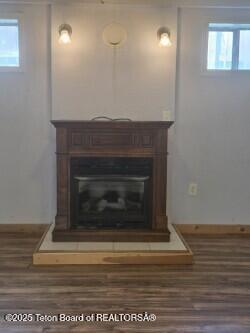 321 Smith Ave, Big Piney, WY 83113 - detailed view of a glass covered fireplace and wood finished floors