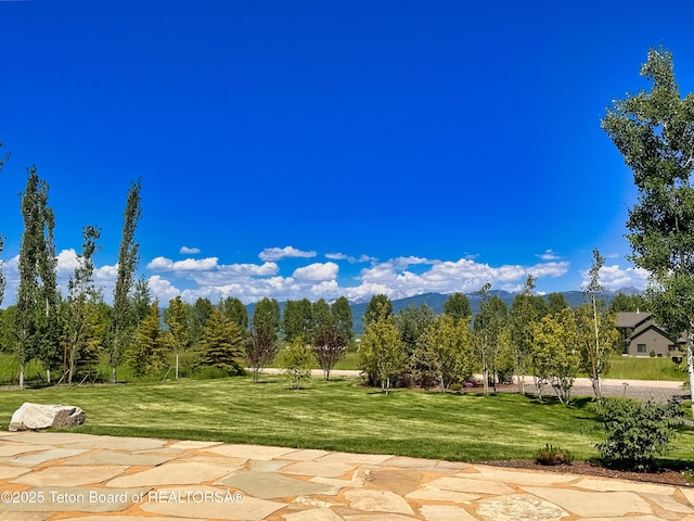 9632 Little Pine Ln, Victor, ID 83455 - surrounding community with a yard