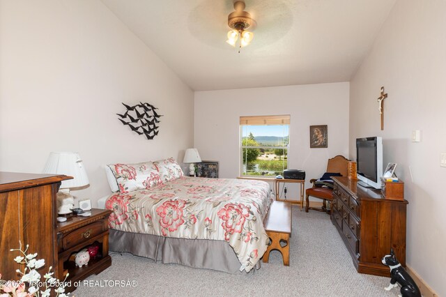 317 Cedar Springs Dr, Thayne, WY 83127 - photo 19