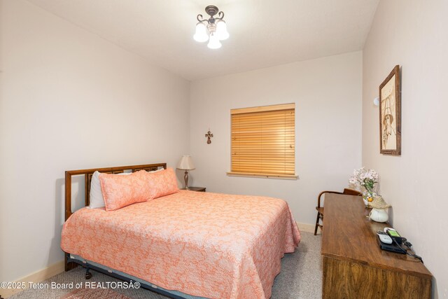 317 Cedar Springs Dr, Thayne, WY 83127 - photo 23