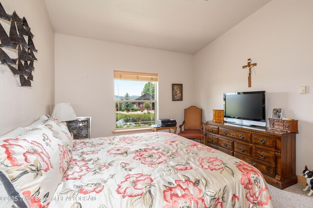317 Cedar Springs Dr, Thayne, WY 83127 - photo 20