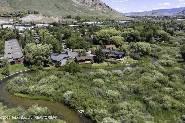 580 Dogwood Dr, Jackson, WY 83001 - photo 21