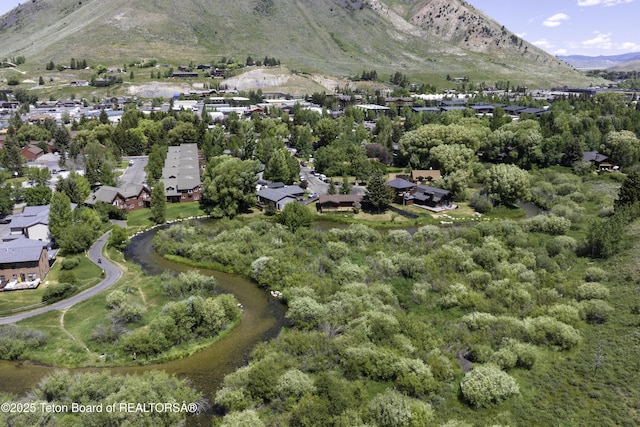 580 Dogwood Dr, Jackson, WY 83001 - photo 24