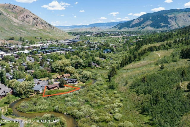 580 Dogwood Dr, Jackson, WY 83001 - photo 22