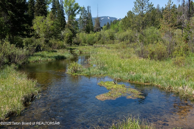 5075 W Rainbow Trout Ln, Wilson, WY 83014