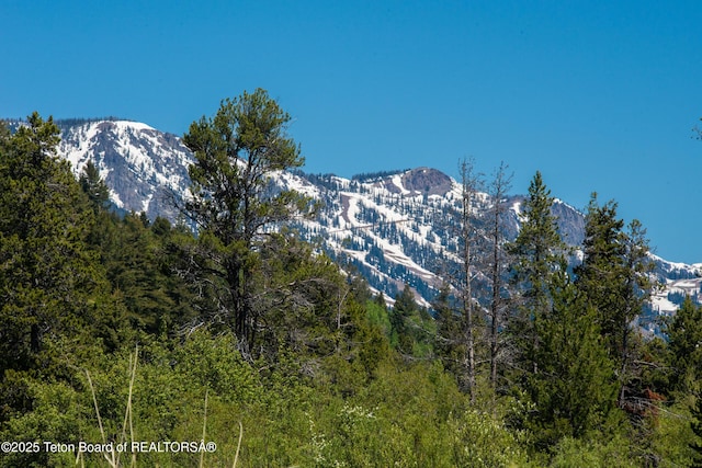 5075 W Rainbow Trout Ln, Wilson, WY 83014