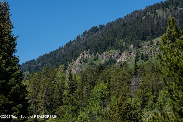 5075 W Rainbow Trout Ln, Wilson, WY 83014