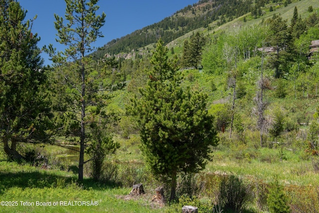 5075 W Rainbow Trout Ln, Wilson, WY 83014