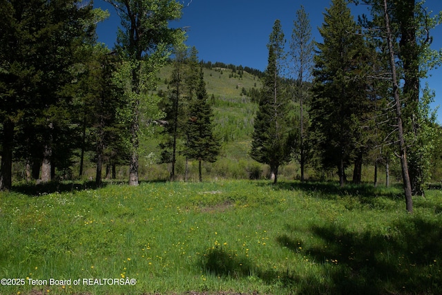 5075 W Rainbow Trout Ln, Wilson, WY 83014