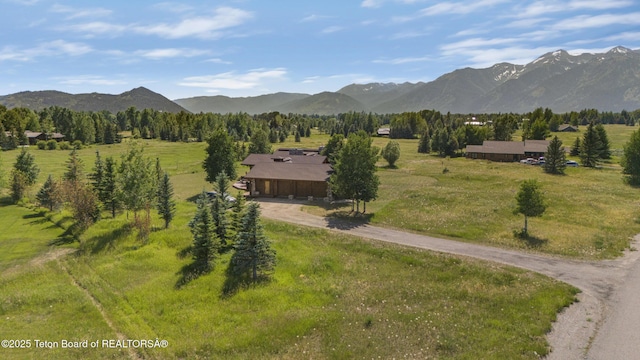 450 E Oatgrass Rd, Jackson, WY 83001 - photo 61