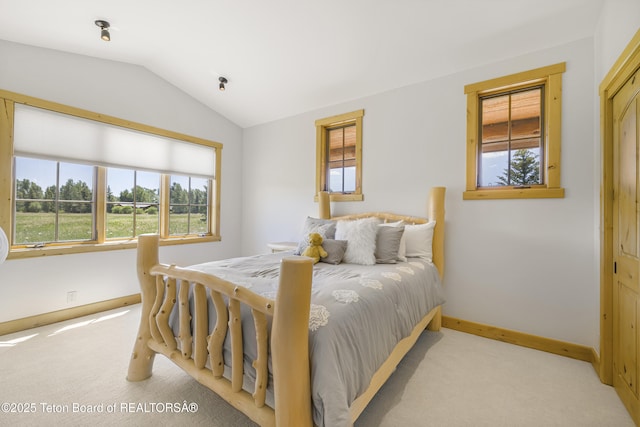 450 E Oatgrass Rd, Jackson, WY 83001 - photo 29
