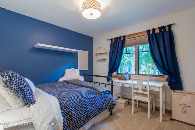1010 W Brahma Dr, Jackson, WY 83001 - photo 10