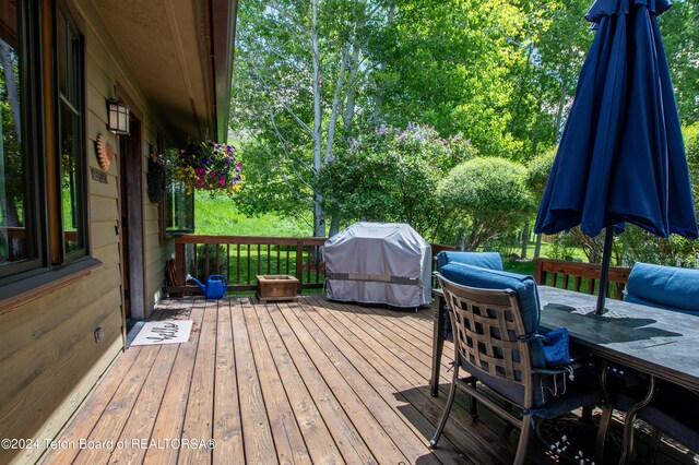 1010 W Brahma Dr, Jackson, WY 83001 - photo 18