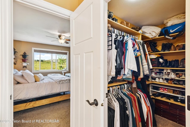 3 Healers, Pinedale, WY 82941 - walk in closet featuring carpet flooring and ceiling fan