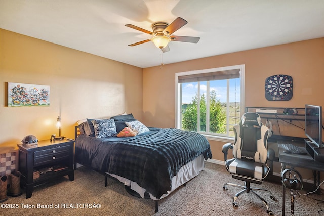 3 Healers, Pinedale, WY 82941 - carpeted bedroom with ceiling fan and baseboards