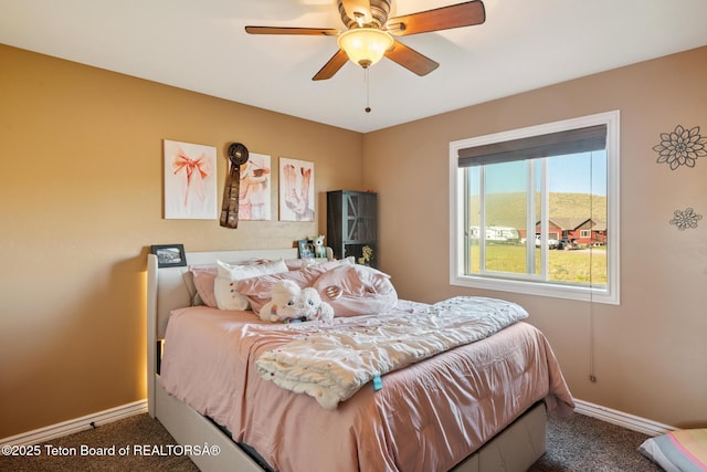 3 Healers, Pinedale, WY 82941 - carpeted bedroom featuring baseboards and a ceiling fan