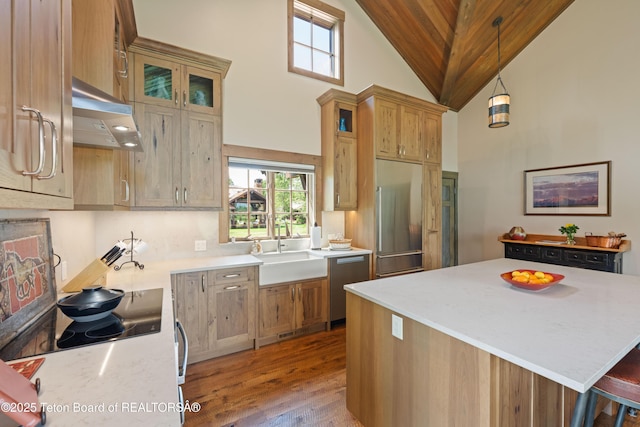 5862 N Coneflower Dr Unit 17, Jackson, WY 83001 - kitchen featuring paneled refrigerator, exhaust hood, dishwasher, light wood-style flooring, and healthy amount of natural light