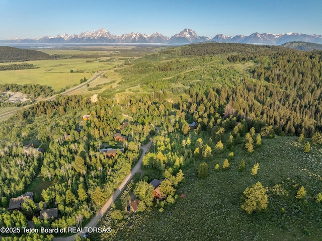 15245 E Teton Wilderness Dr, Moran, WY 83013