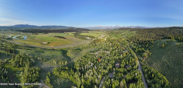15245 E Teton Wilderness Dr, Moran, WY 83013