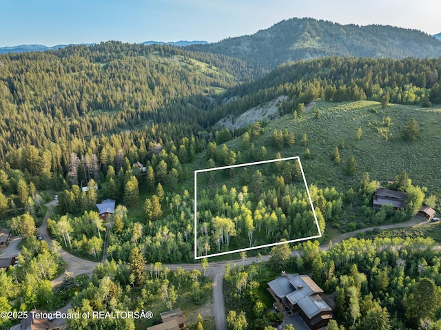 15245 E Teton Wilderness Dr, Moran, WY 83013
