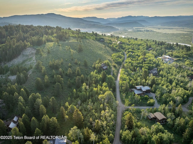 15245 E Teton Wilderness Dr, Moran, WY 83013