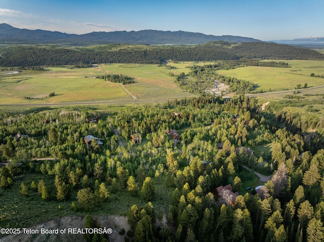 15245 E Teton Wilderness Dr, Moran, WY 83013
