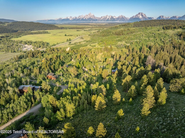 15245 E Teton Wilderness Dr, Moran, WY 83013