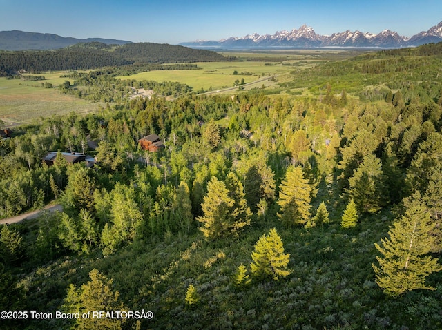 15245 E Teton Wilderness Dr, Moran, WY 83013