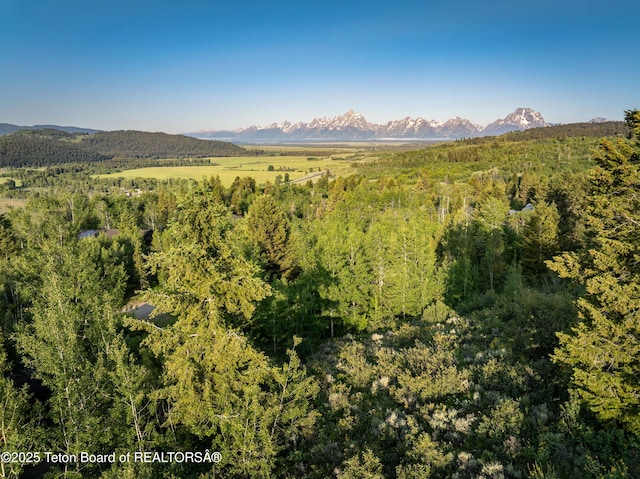 15245 E Teton Wilderness Dr, Moran, WY 83013