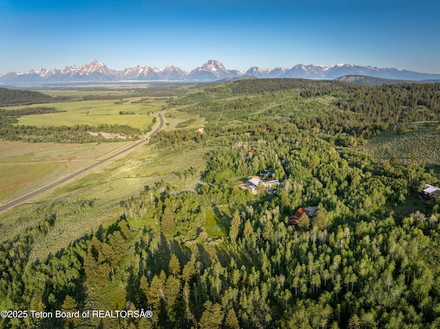 15245 E Teton Wilderness Dr, Moran, WY 83013