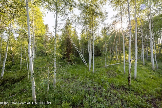 15245 E Teton Wilderness Dr, Moran, WY 83013