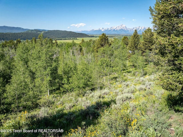 15245 E Teton Wilderness Dr, Moran, WY 83013